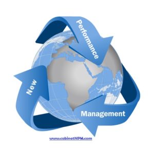 NPM logo 1 300x292 - Accompagnement à la certification et conseil ISO 50001 à Rabat
