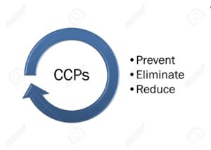 117382611 picture diagram of how to control ccp point haccp concept food safety concept 300x214 - LES  POINTS CRITIQUE CONTRÔLE « CCP » DANS LA DÉMARCHE  HACCP