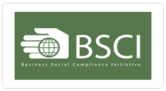 3 1 - Importance de l’audit social BSCI