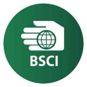 bsci certification service 1 300x300 - Importance de l’audit social BSCI