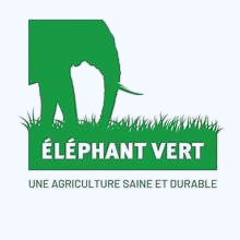 Éléphant Vert
